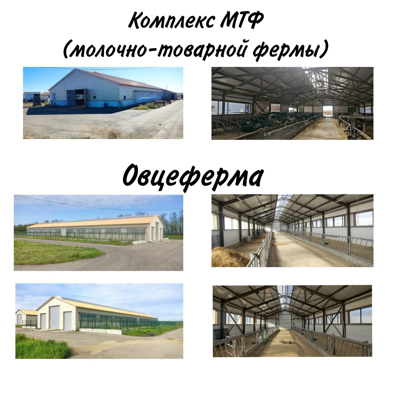 Начни свой бизнес с поддержкой Республиканского Бизнес-инкубатора!