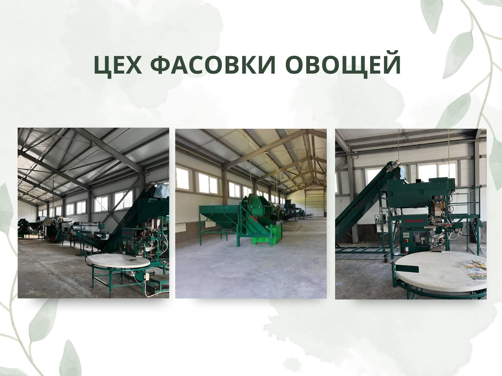 Начни свой бизнес с поддержкой Республиканского Бизнес-инкубатора!